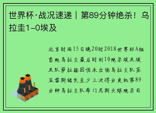 世界杯·战况速递｜第89分钟绝杀！乌拉圭1-0埃及